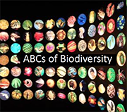 ABC Of Biodiversity